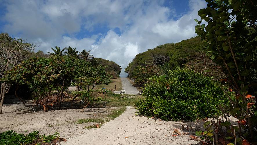 11-crane beach_01